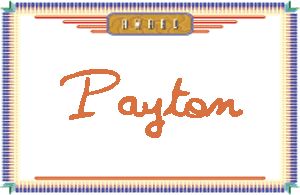 PaytonдӢ