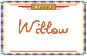 WillowдӢ